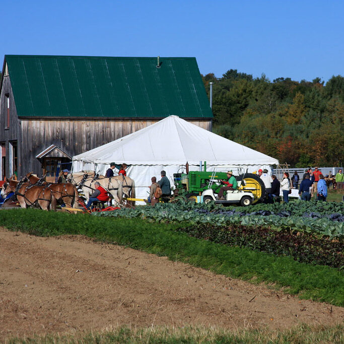 The Common Ground Fair in Unity, Maine